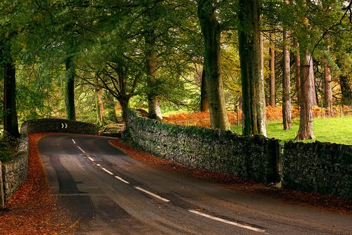 Stone Wall Road, Windemere, England