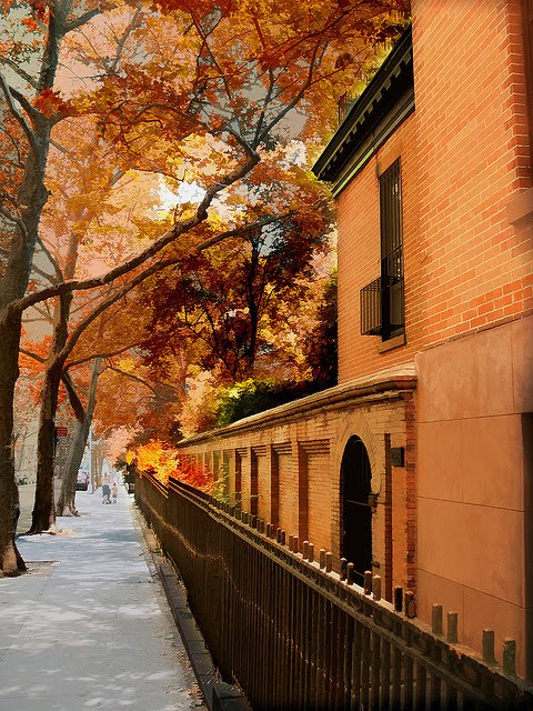 Autumn, New York City